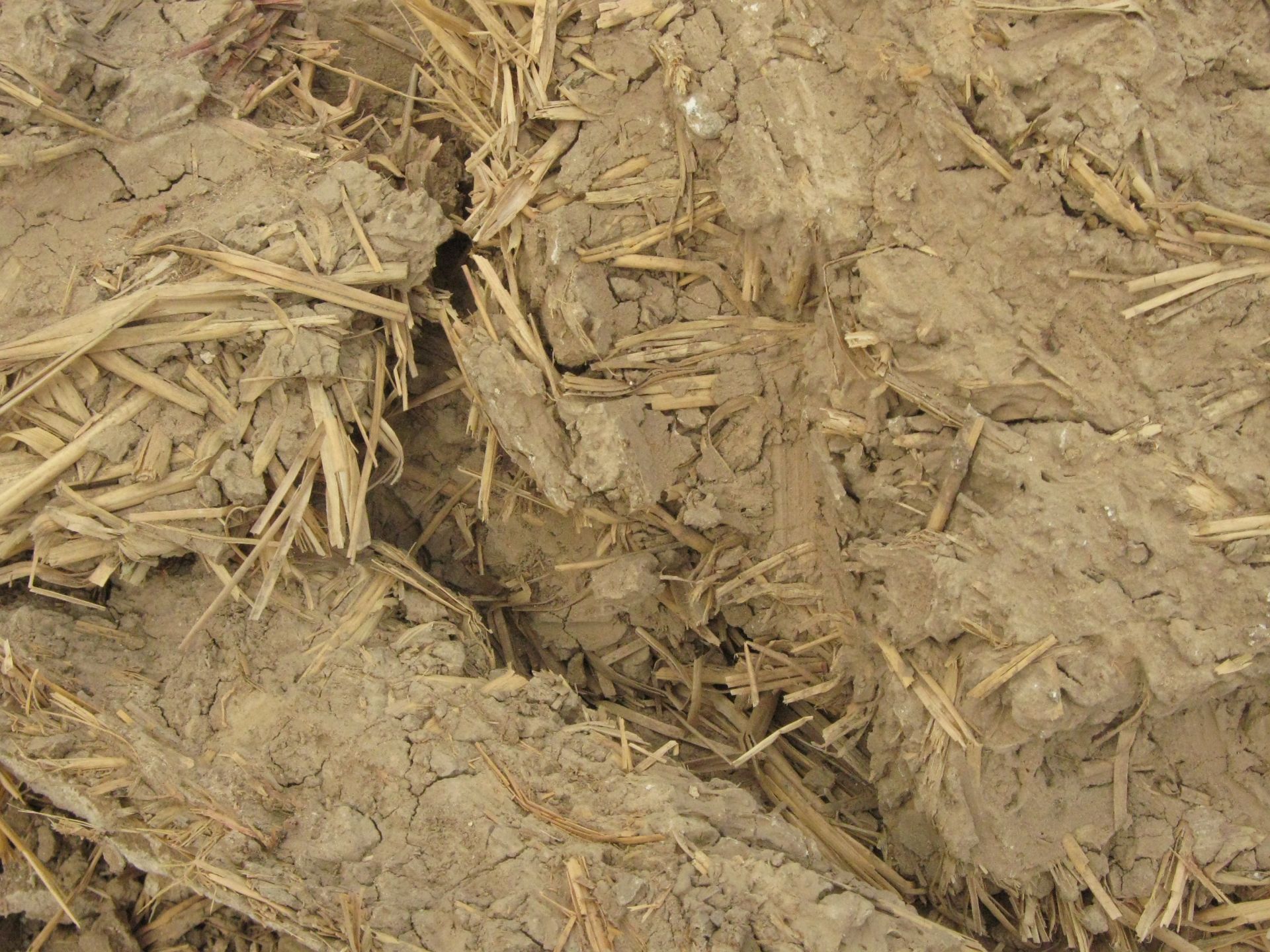 LehmStroh Gemisch 1,5 cbm Absetzcontainer SW10034.1